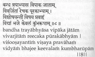 Длительной упорной практикой трёх замков после достижения йогом зрелости в - фото 9