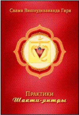 Неизвестный Автор Шакти Янтры обложка книги