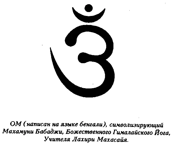 Возможно самое время здесь упомянуть о том что Махамуни Бабаджи Гуру Лахири - фото 20
