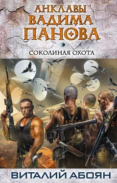 Виталий Абоян Соколиная охота обложка книги