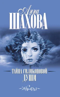 Анна Шахова Тайна силиконовой души обложка книги