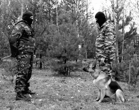 Охранная собака должна внимательно и настороженно следить за действиями - фото 39
