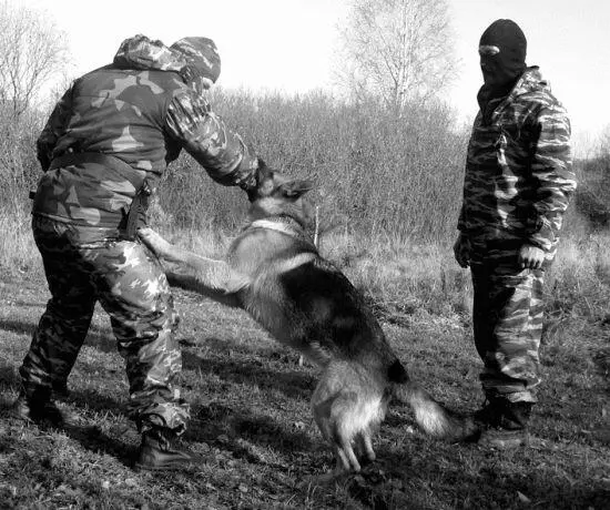 Самостоятельно бороться с врагом Не давать противнику шансов подняться и - фото 41