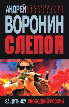 Андрей Воронин Слепой. Защитнику свободной России обложка книги