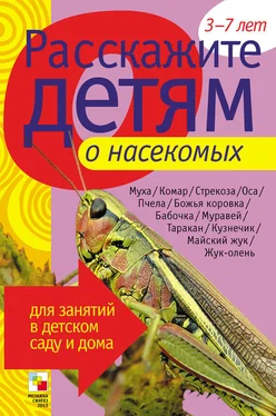 Э. Емельянова Расскажите детям о насекомых обложка книги