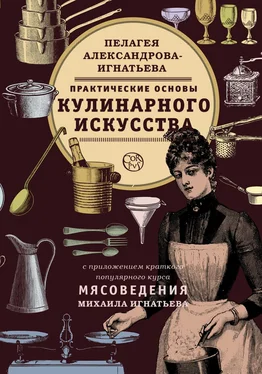 Пелагея Александрова-Игнатьева ПРАКТИЧЕСКИЕ ОСНОВЫ КУЛИНАРНОГО ИСКУССТВА обложка книги