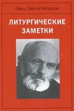 Сергей Желудков Литургические заметки обложка книги