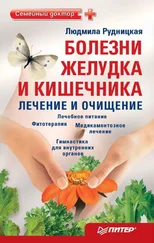 Людмила Рудницкая - Болезни желудка и кишечника - лечение и очищение