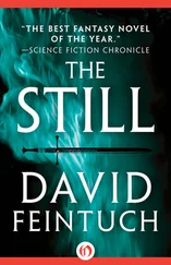 David Feintuch - The Still