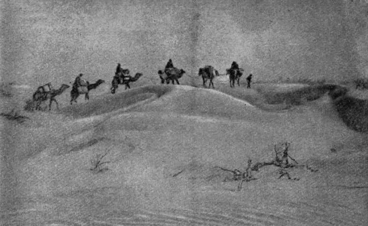В первые годы работ экспедиция уходила в пустыню на верблюдах И сейчас еще - фото 2