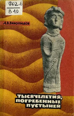 Александр Виноградов Тысячелетия, погребенные пустыней обложка книги
