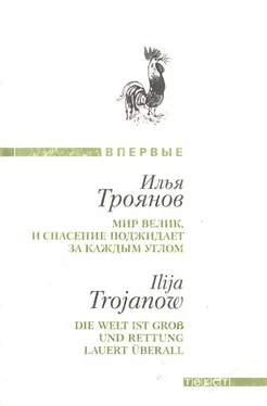 Илья Троянов Мир велик, и спасение поджидает за каждым углом обложка книги