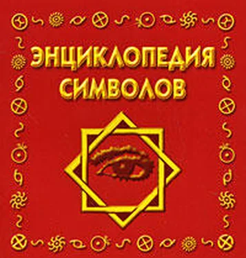 Виктория Рошаль Энциклопедия символов обложка книги