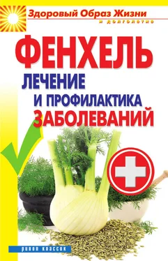 Виктор Зайцев Фенхель. Лечение и профилактика заболеваний обложка книги