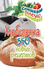 Анастасия Красичкова - Хлебопечка. 350 новых рецептов