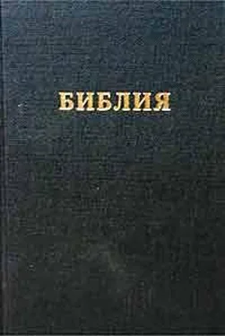 РБО Библия. Синодальный перевод обложка книги