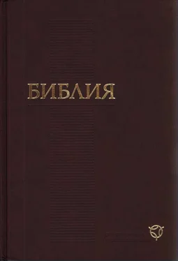 РБО Библия. Современный русский перевод (РБО) обложка книги