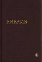 РБО - Библия. Современный русский перевод (РБО)