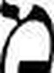 Biblica - Holy Bible - New International Version