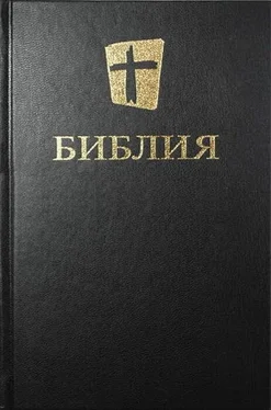 Biblica Библия. Новый русский перевод (Biblica) обложка книги