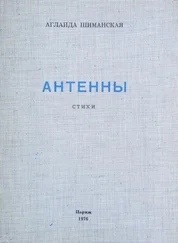 Аглаида Шиманская - Антенны