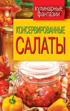 М. Кружкова Консервированные салаты обложка книги