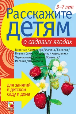 Э. Емельянова Расскажите детям о садовых ягодах обложка книги