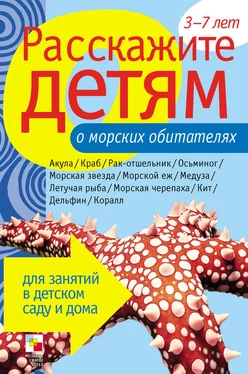 Лариса Бурмистрова Расскажите детям о морских обитателях обложка книги