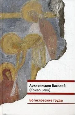 Василий Кривошеин Богословские труды обложка книги
