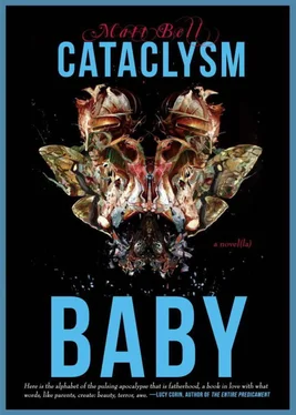 Matt Bell Cataclysm Baby обложка книги