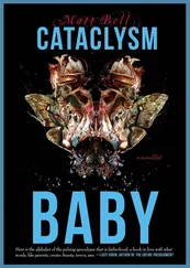 Matt Bell - Cataclysm Baby