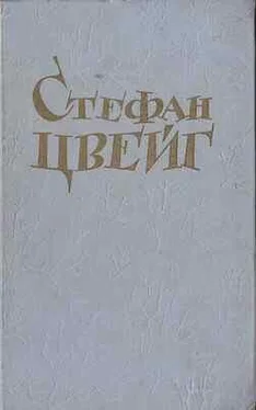 Стефан Цвейг Страх обложка книги