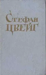 Стефан Цвейг - Мендель-букинист