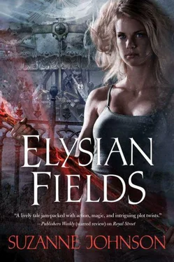 Suzanne Johnson Elysian Fields обложка книги