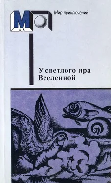 Василий Левшин «У светлого яра Вселенной» обложка книги