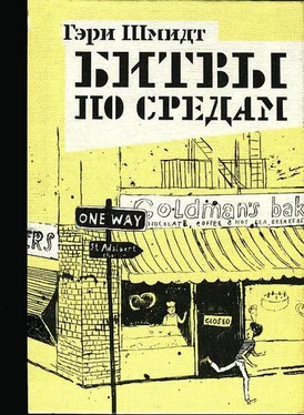 Гэри Шмидт Битвы по средам обложка книги