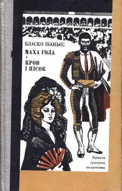 Вісенте Бласко Ібаньєс Маха гола обложка книги
