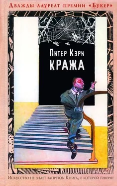 Питер Кэри Кража обложка книги