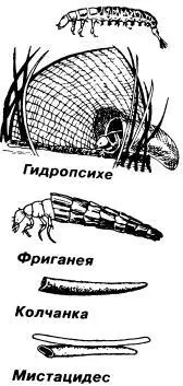 Свободноживущие личинки ручейников и их ловчие сети немного ув Чехлики - фото 127