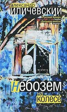 Александр Иличевский Небозём на колесе обложка книги