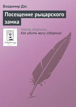 Владимир Дэс Посещение рыцарского замка обложка книги