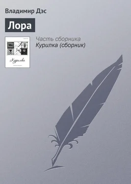 Владимир Дэс Лора обложка книги