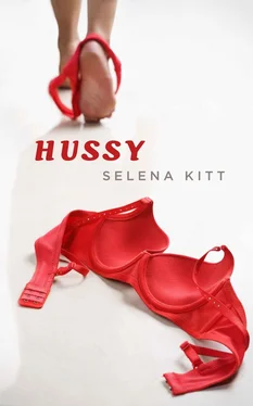 Selena Kitt Hussy обложка книги