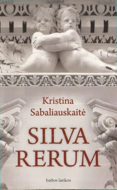 Kristina Sabaliauskaitė Silva rerum обложка книги