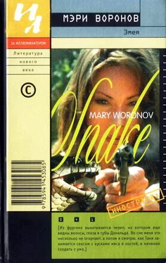 Мэри Воронов Змея обложка книги