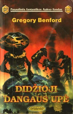 Gregory Benford Didžioji dangaus upė обложка книги