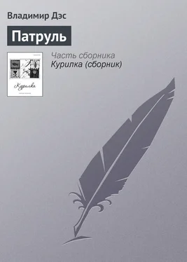 Владимир Дэс Патруль обложка книги