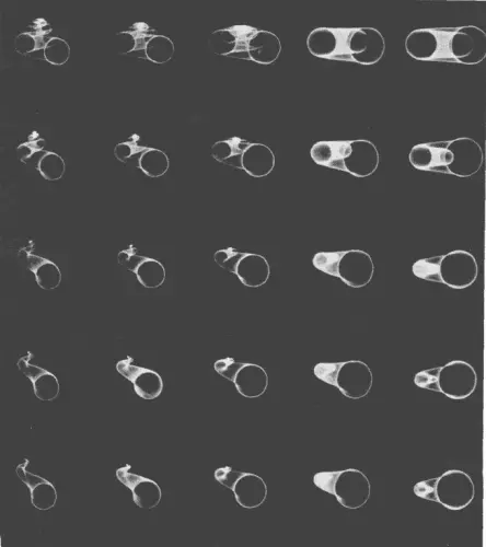 Рис 12Моделирование формы закрученных раковин на вычислительной машине - фото 2