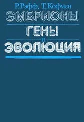 Рудольф Рэфф - Эмбрионы, гены и эволюция