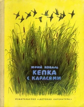 Юрий Коваль Кепка с карасями обложка книги